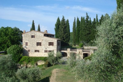 toscana-olive-main